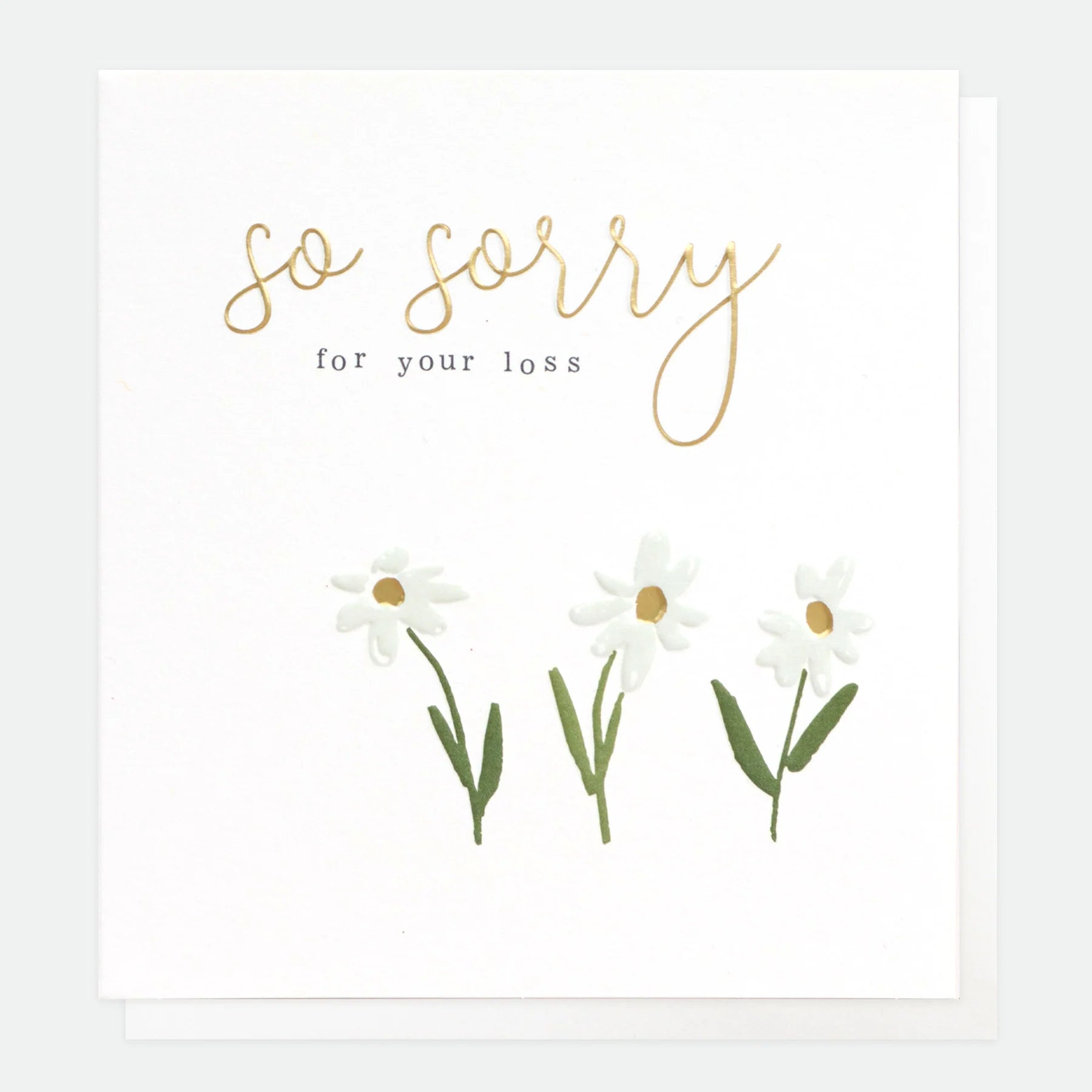 So Sorry Sympathy Greeting Card