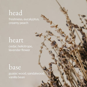 Liquid Hand Soap | Lavender, Sandalwood & Vanilla: 238ml