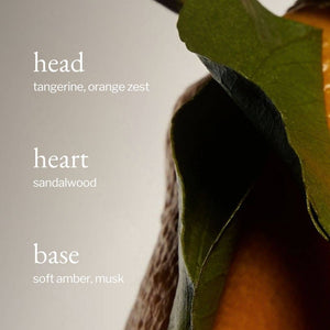 Liquid Hand Soap | Tangerine, Sandalwood & Amber: 238ml