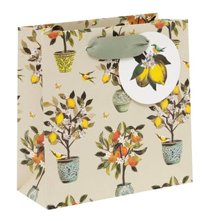 Bag Small Fruit Orchard