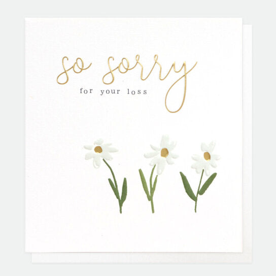 Daisies Sympathy Card