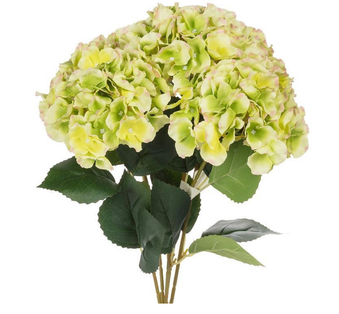 Large 5 Stem Hydrangea Bouquet