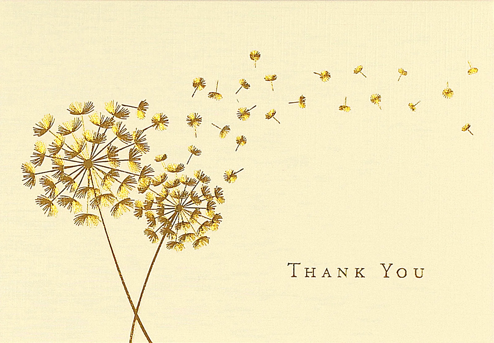 Dandelion Wishes Thank You Notecards