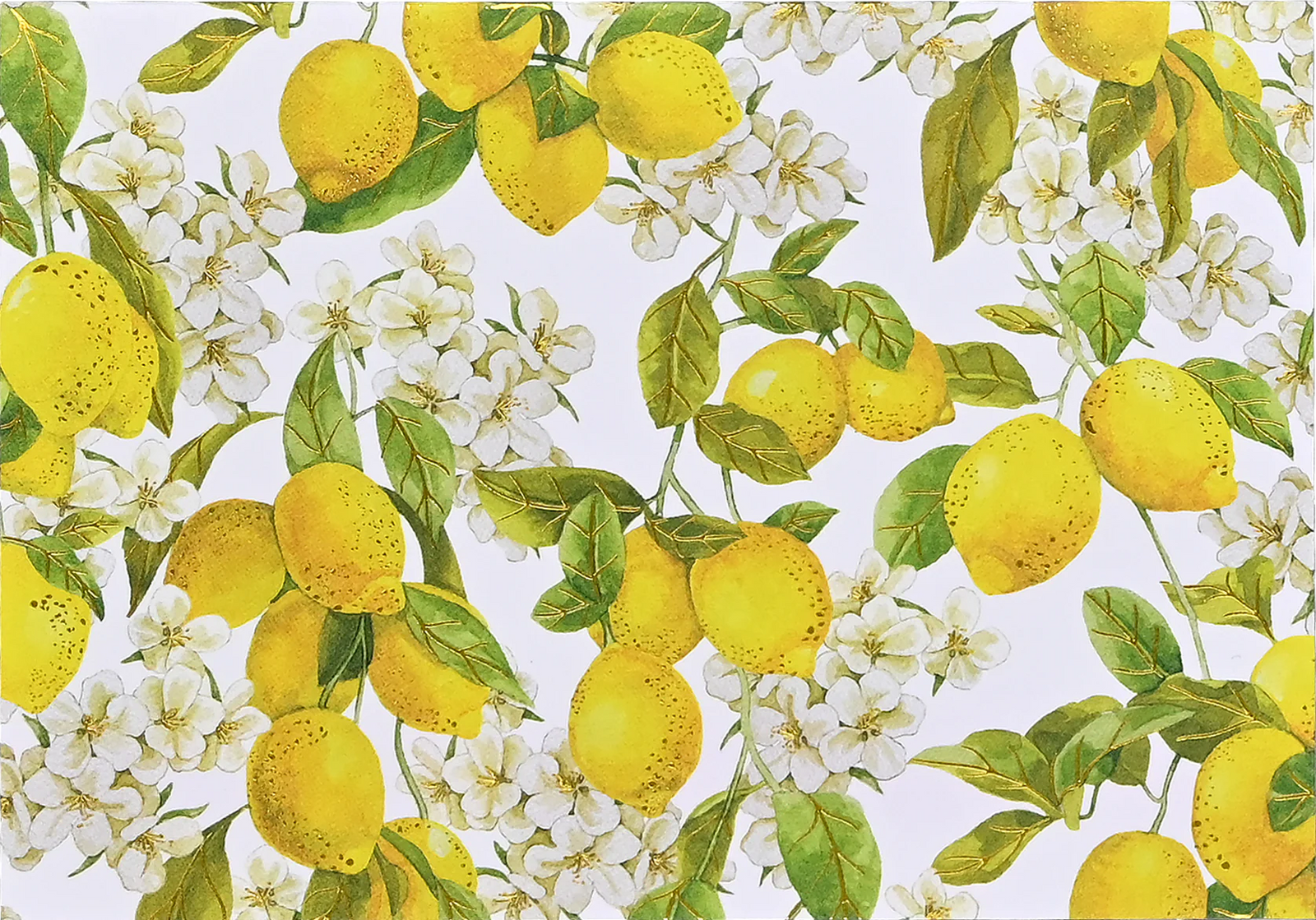 Amalfi Lemons Note Cards