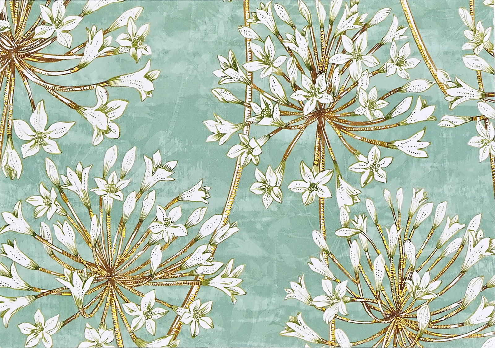 Allium Blossoms Note Cards