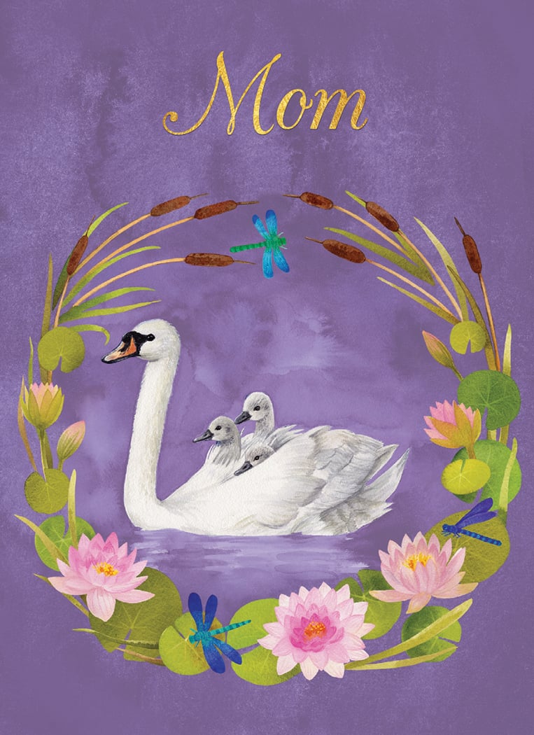 Swans Mother's Day