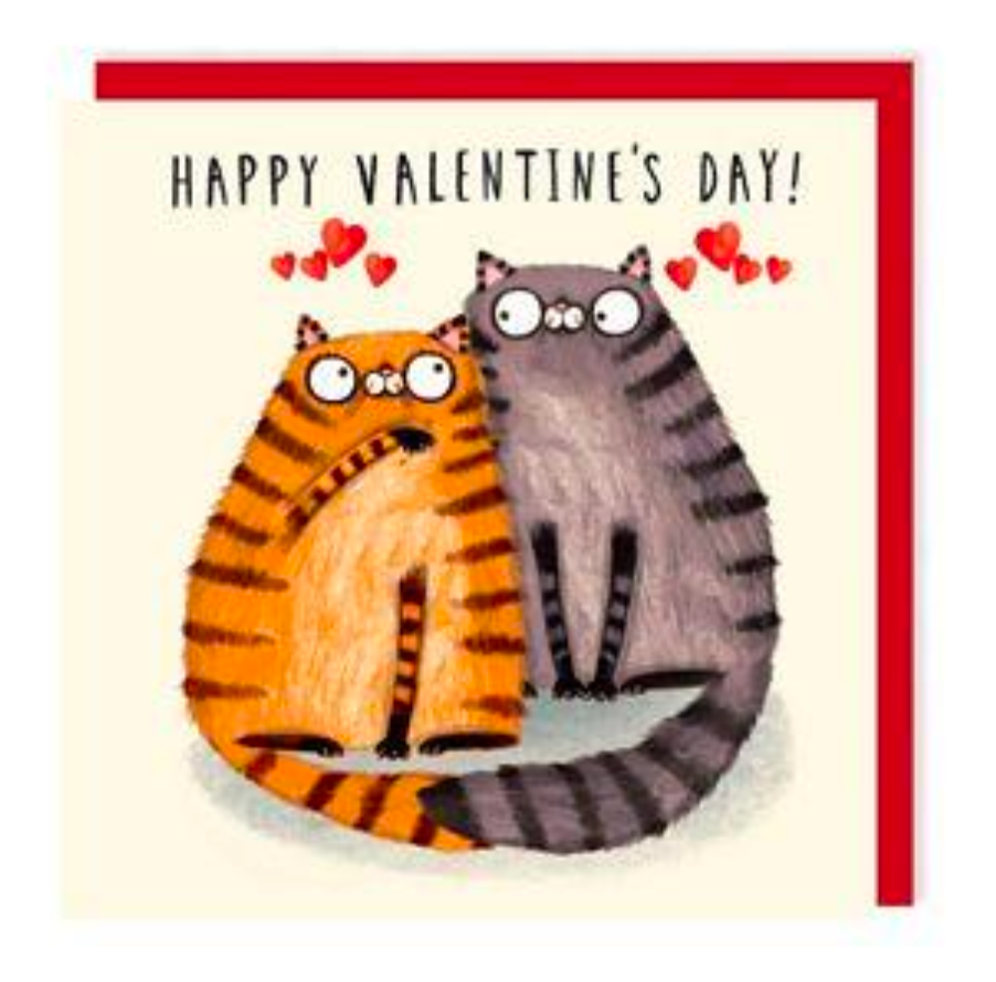 Valentine's Cat Greeting Card