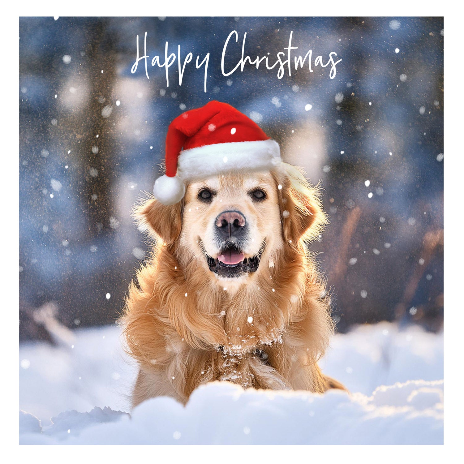 Christmas Dog with Santa Hat