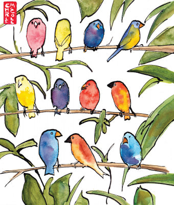 COLOURFUL BIRDS