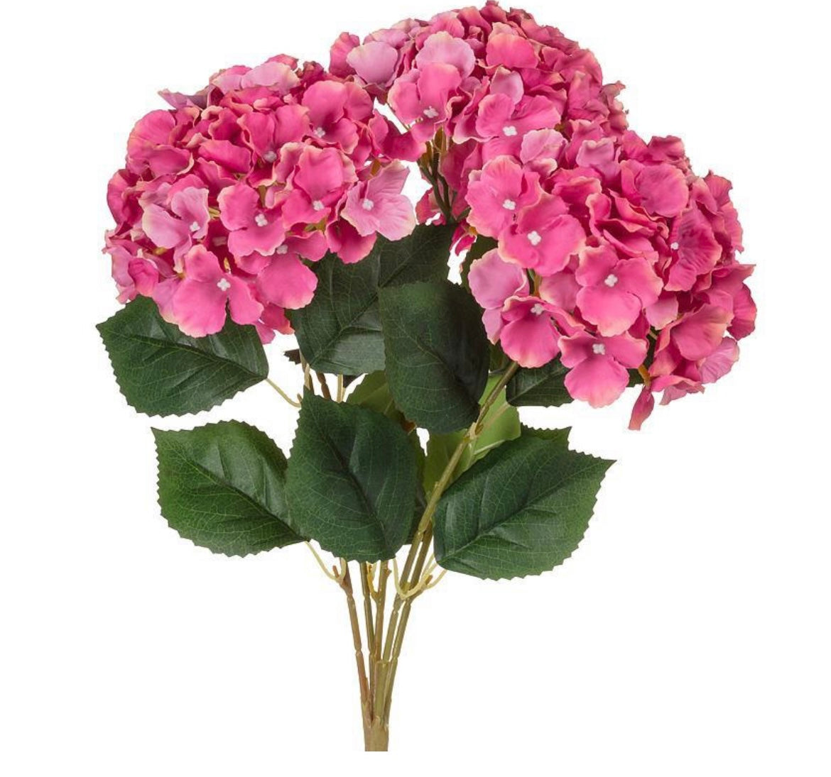 Large 5 Stem Hydrangea Bouquet