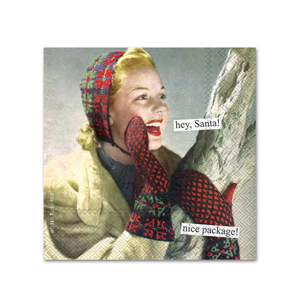 Hey, Santa! Nice Package! Cocktail Napkins