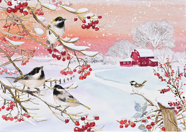 Snowy Songbirds Deluxe Boxed Holiday Cards
