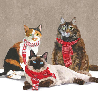 Winter Scarf Cats Paper Cocktail Napkins