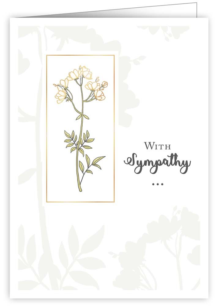 With sympathy…