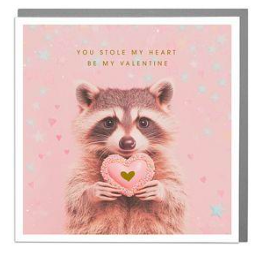 Be My Valentine Racoon Greeting Card