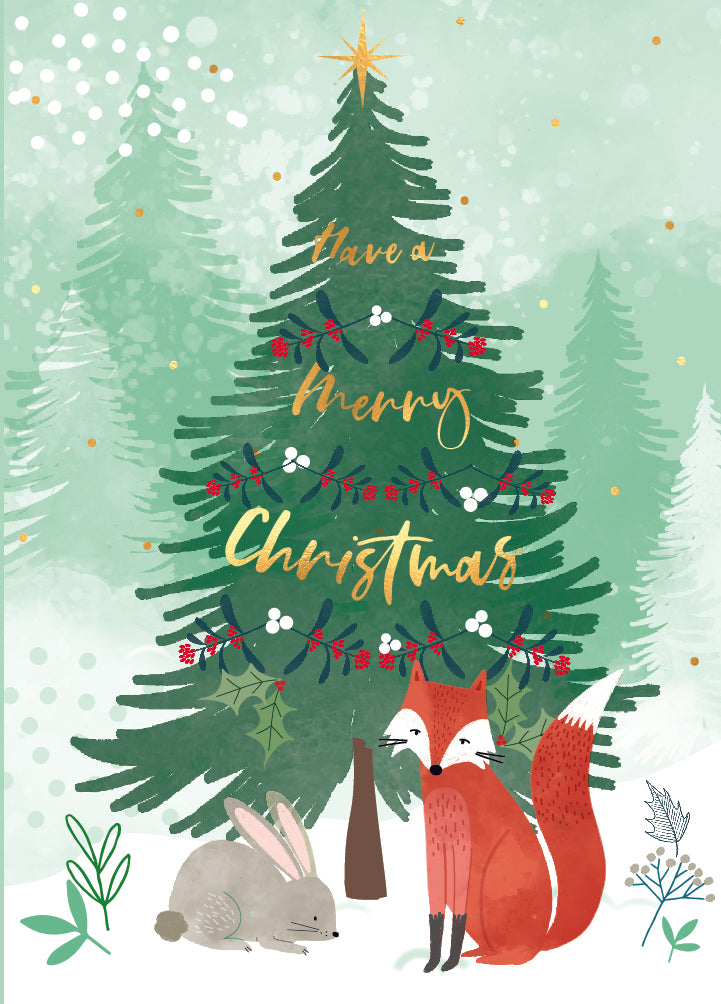 Have a Merry Christmas