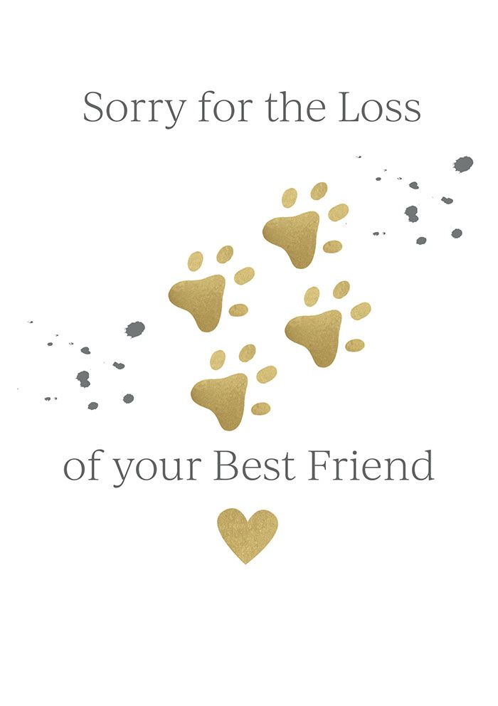 Loss of Best Friend Greeting Card