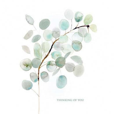 Eucalyptus