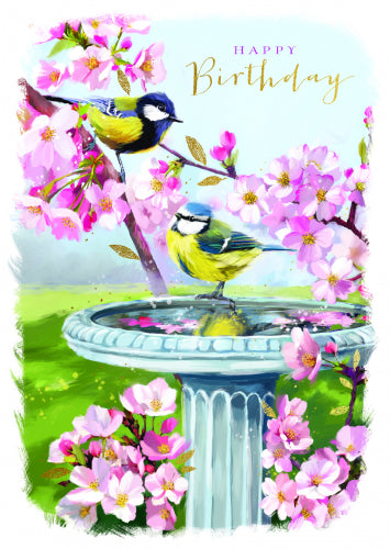Birds and Blossom Greeting Card