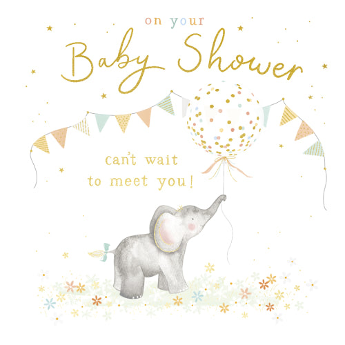 Baby Elephant