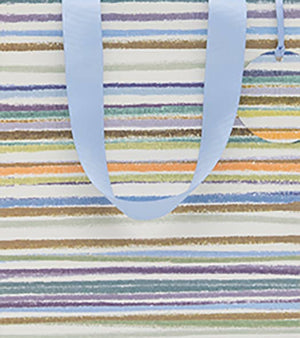 BAG MEDIUM HORIZONTAL STRIPES