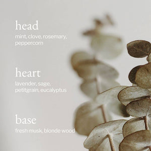 Liquid Hand Soap | Eucalyptus, Mint & Rosemary: 238ml