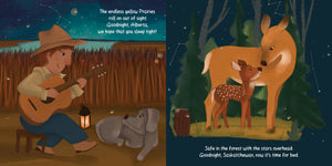 Goodnight, Canada 9x9 board book