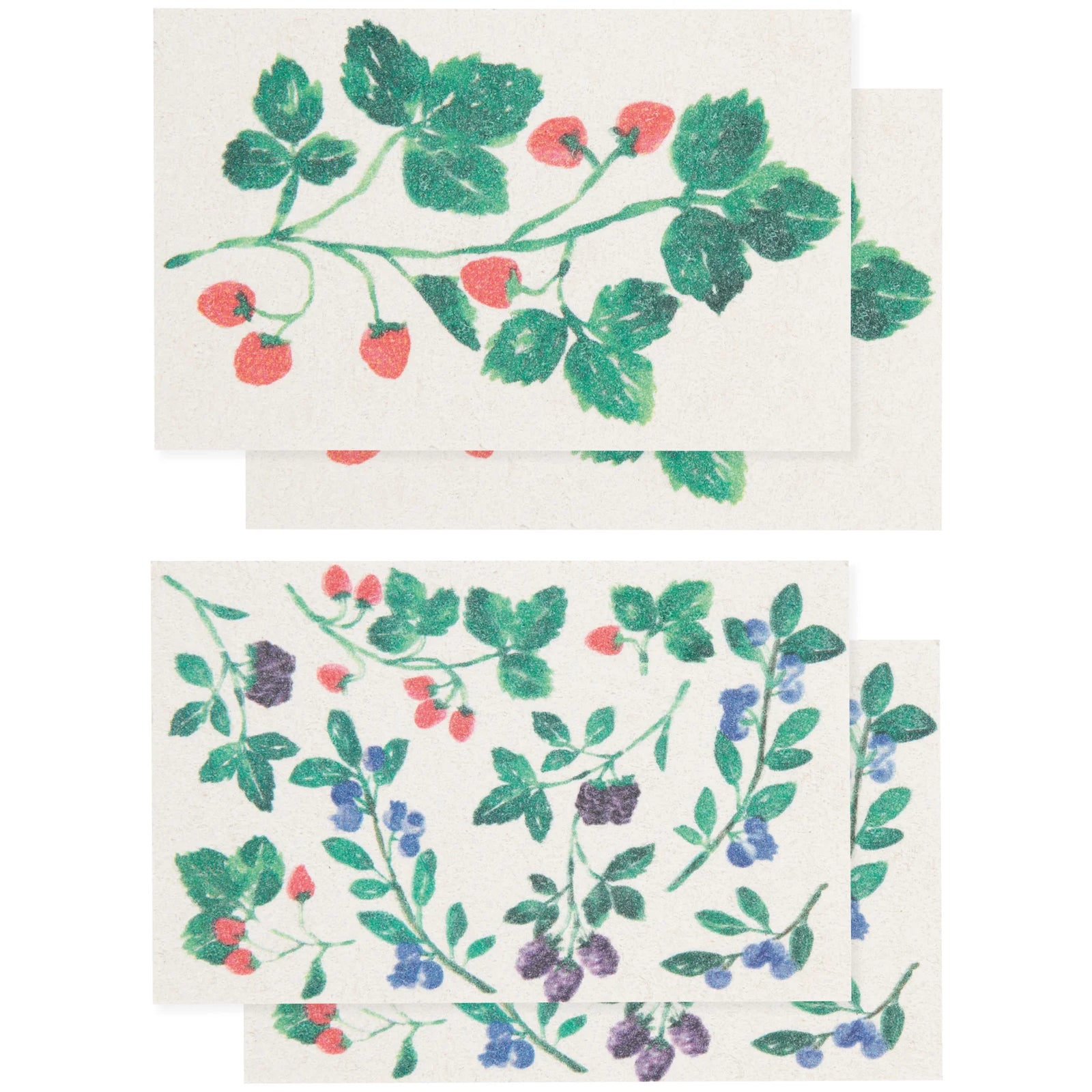 Berry Bramble Pop Up Sponges Set of 4 Assorted