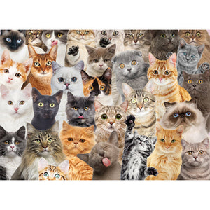 All the Cats Puzzle (1000 Pieces)