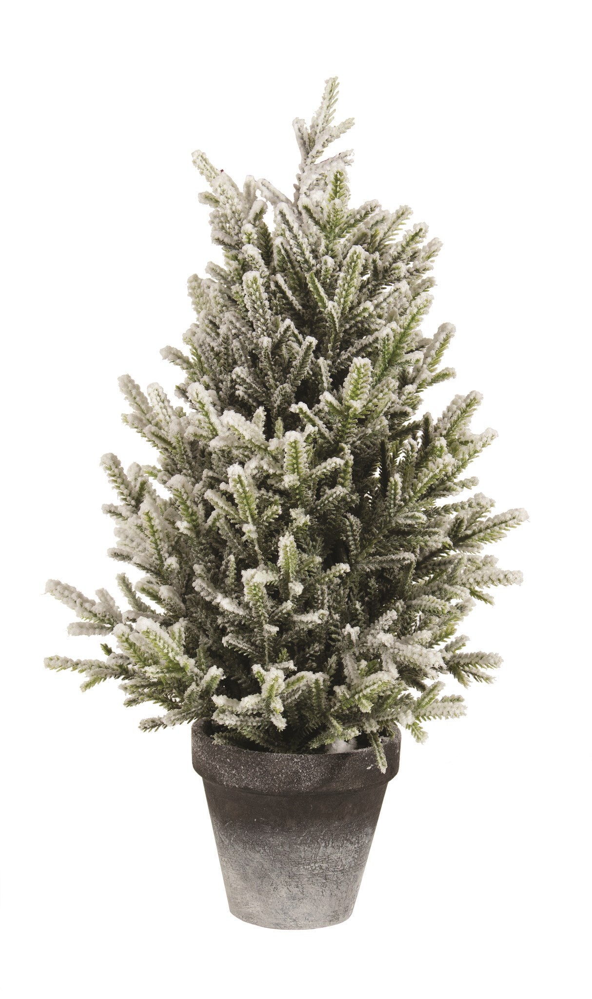 Topiary Snow Black Pot
